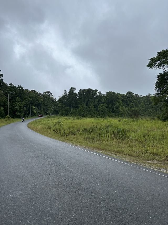 เที่ยววันเดย์ทริปที่อุทยานแห่งชาติเขาใหญ่2025