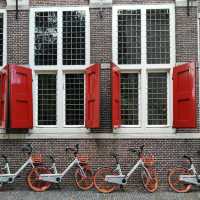 🧀🌷 Gouda Summer Guide: Cheese, Canals & Hidden Courtyards