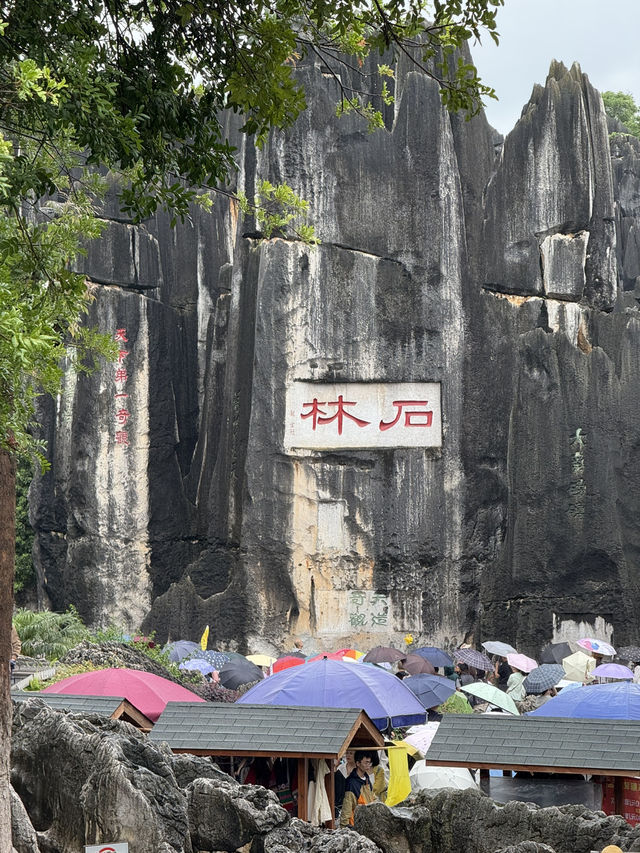Kunming 9 Days Itinerary