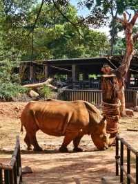 สวนสัตว์ KORAT ZOO 🦒🐘
