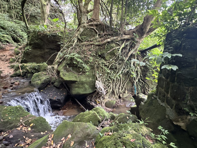 草山觀瀑吊橋。猴崁圳古道