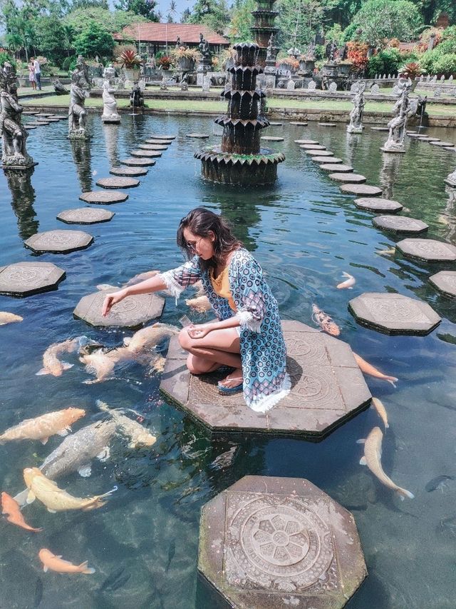 Tirta Gangga, Bali – A Peaceful Garden with Swimming Fishes ⛲️🐟