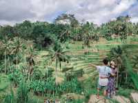 Green Paradise - Tegallalang Rice Terraces, Bali 🌾📸