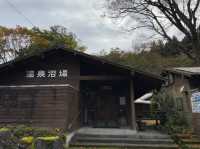 My Izu Mid-Coast Hike with the Tokai Bus 3-Day Pass! 🚶‍♀️♨️