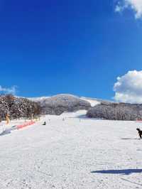 【北海道】カムイスキーリンクス
