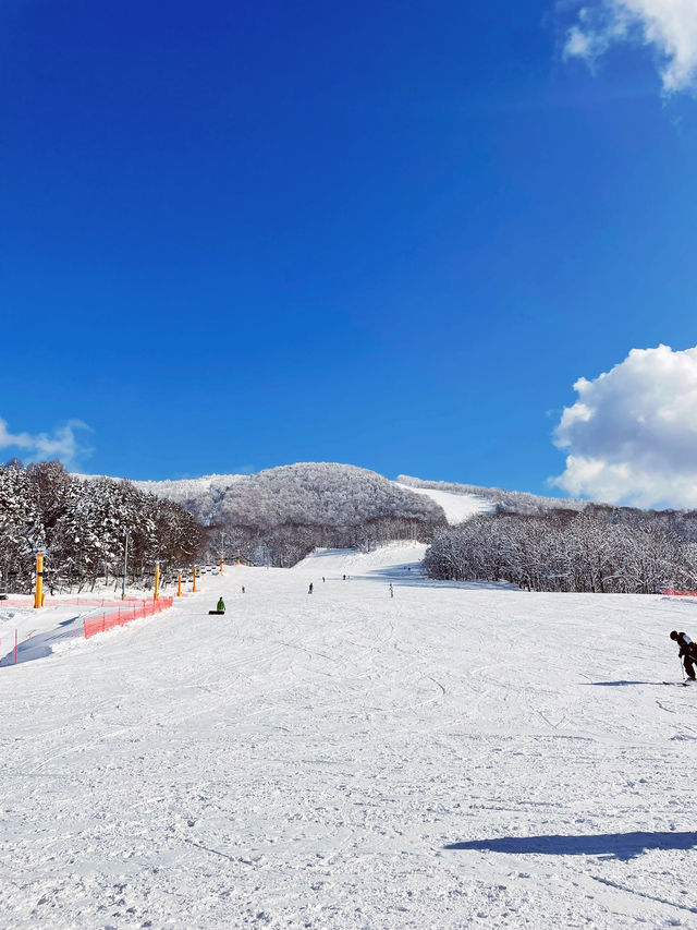 【北海道】カムイスキーリンクス
