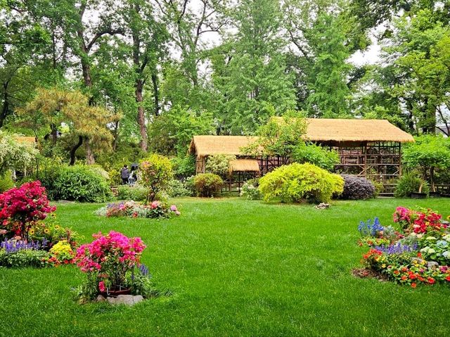 I came to this garden in Suzhou, and I was stunned by its beauty