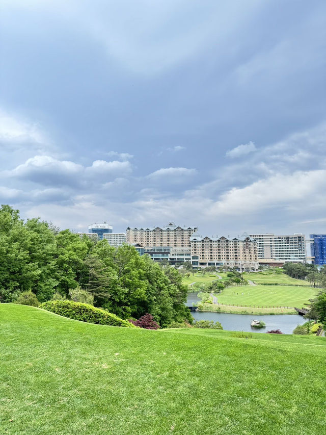 소노펠리체 델피노cc