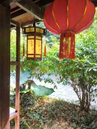 เที่ยวสวนพฤกษศาสตร์ที่ Nanning 