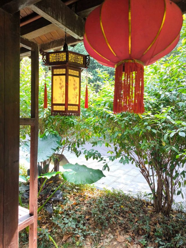 เที่ยวสวนพฤกษศาสตร์ที่ Nanning 