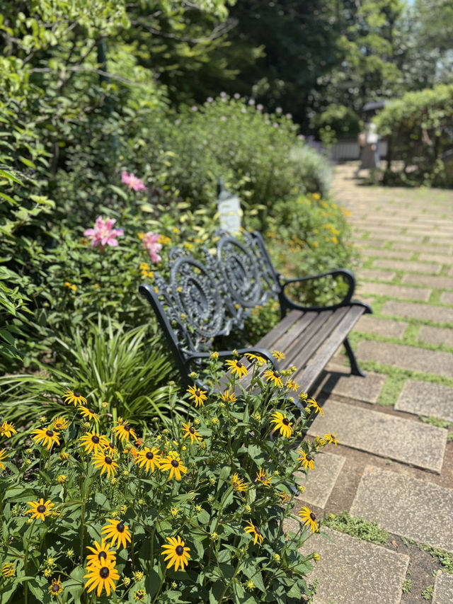 神戶布引草公園：向日葵的夏季花海 🌻🌞