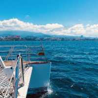 Experience Jeju's Beauty from a Luxurious Ocean Perspective