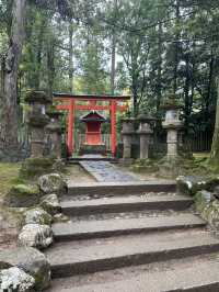 春日大社：在奈良感受神社的靈氣，探訪自然與文化的和諧交融！