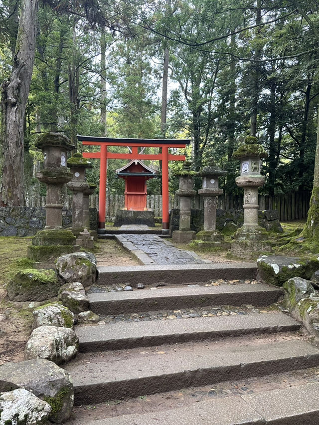春日大社：在奈良感受神社的靈氣，探訪自然與文化的和諧交融！