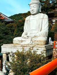 เยือนวัดซึโบซากะ สัมผัสพลังศรัทธา
