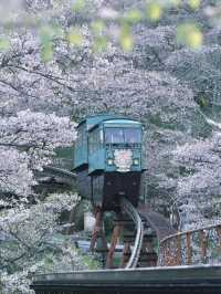 Funaoka Joshi Park – ซากุระริมรางที่สุดแสนโรแมนติก