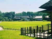 冈山后乐园一日游｜日本三大名园·四季美景全收录