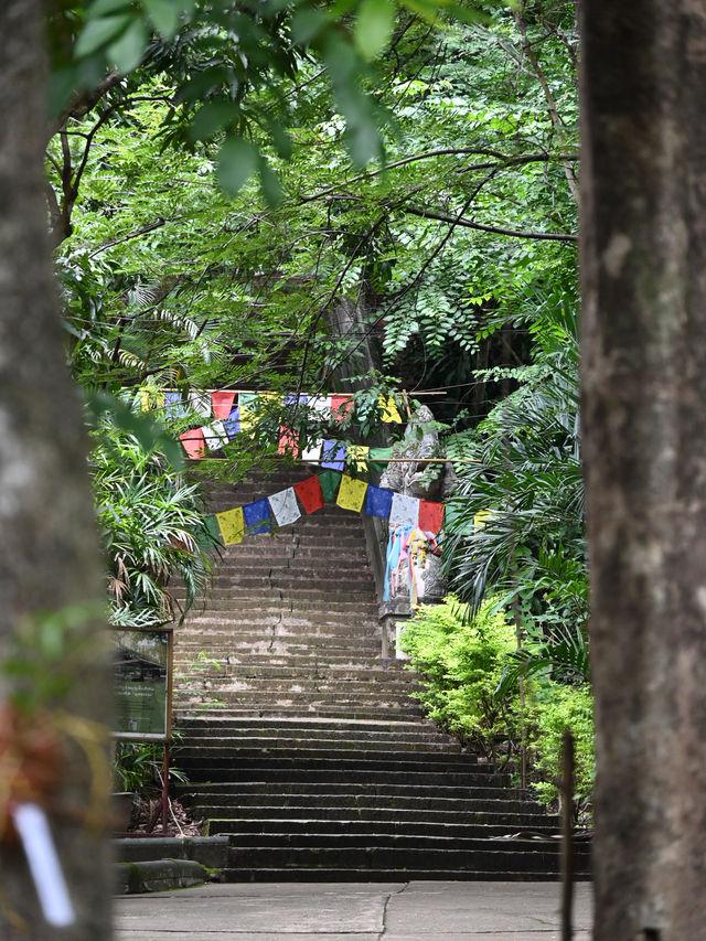 Echoes Of 700 Years: Wat Umong’s Underground Dharma