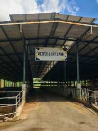 🍓 Farm Fresh @ UPM – A Fun & Fresh Escape from the City! 🐄🌾