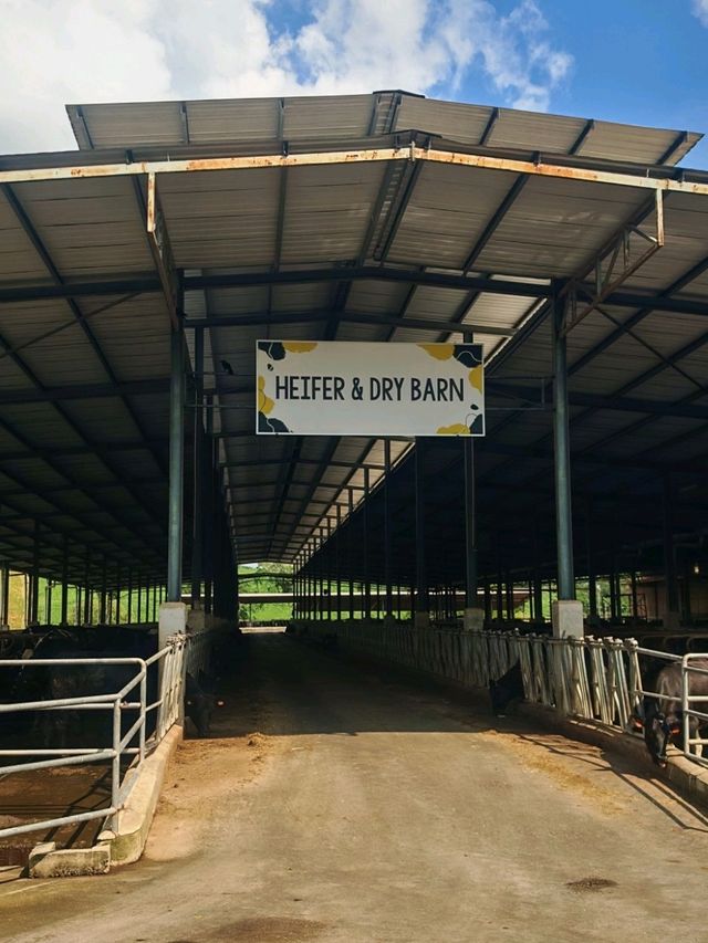 🍓 Farm Fresh @ UPM – A Fun & Fresh Escape from the City! 🐄🌾