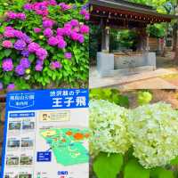 飛鳥山公園