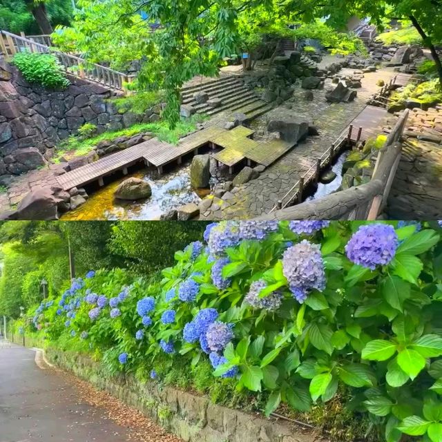 飛鳥山公園