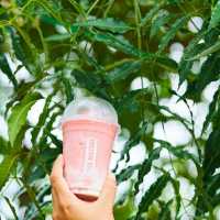 ☕ The Nature