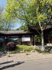 หมู่บ้านชาหลงจิ่ง (龙井村 / Longjing Village)