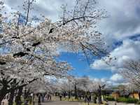 大阪市郊的親子友善景點/萬博紀念公園