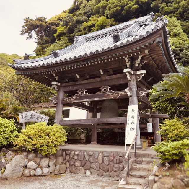 🌊 Solo Escape: Enoshima Day Trip – Beyond the Tourist Trail