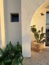 🇮🇹 Italian farm stay • Masseria Moroseta 🌵🌵🌵