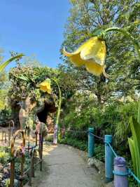 Fantasy Springs – A Magical New World at Tokyo DisneySea