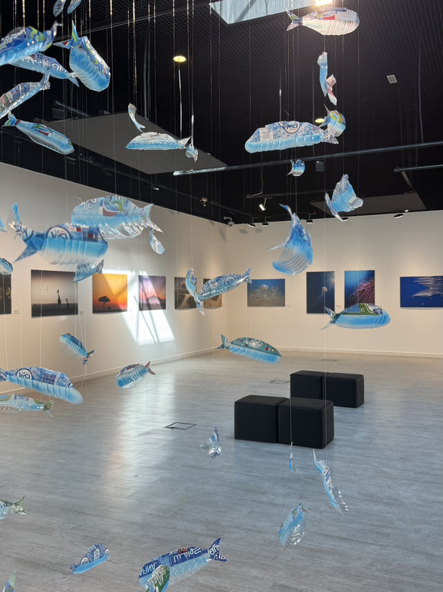Free Art Around Doha