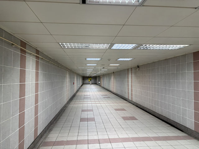 台北-捷運大橋頭D3出口（地下道藝術廊道 × 大稻埕街景故事牆）
