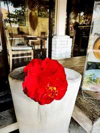 Buzzing with Flavor at Look Bee Coffee Ubud