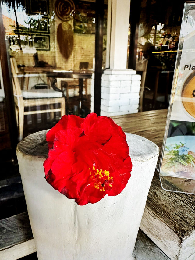 Buzzing with Flavor at Look Bee Coffee Ubud
