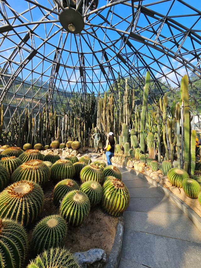 深圳l 沒想到這個仙湖植物園🌳那麼大