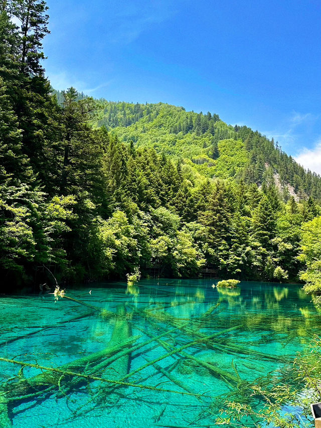 🌿✨ Discover the Enchanting Beauty of Jiuzhaigou Valley ✨🌿