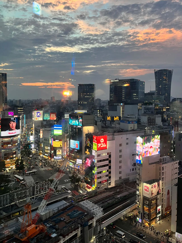 🍜 Tsuru Ton Tan – Udon Noodles with Views in Shibuya Scramble Square