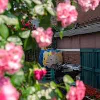 Secret Blooms in Cheonho-dong: Seoul’s Hidden Floral Alley Revealed!** 🌸📸
