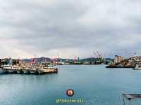 Zhengbin Port Color Houses