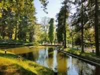 Wandering Zugdidi Botanical Garden