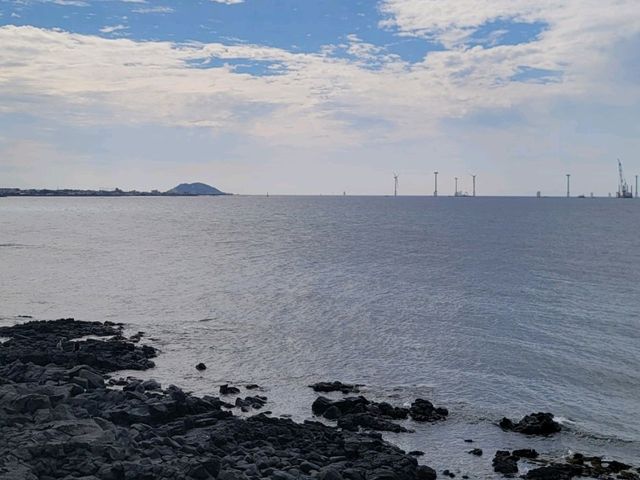제주 해지개