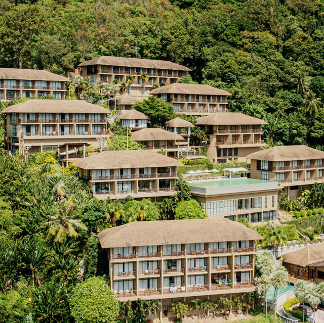 Hilltop Haven and Tropical Breath
