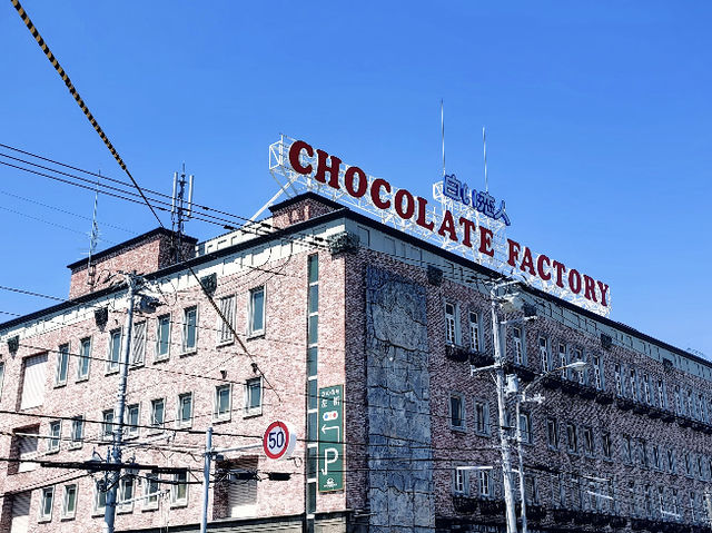 Summer in Hokkaido: A Whirlwind Tour of Sapporo! 🌸🏙️