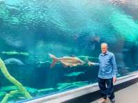 Aquaria Phuket พิพิธภัณฑ์สัตว์น้ำที่ใหญ่ที่สุด