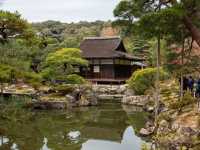 【銀閣寺】静寂の美に包まれる、心落ち着く京都の隠れた名所🌿