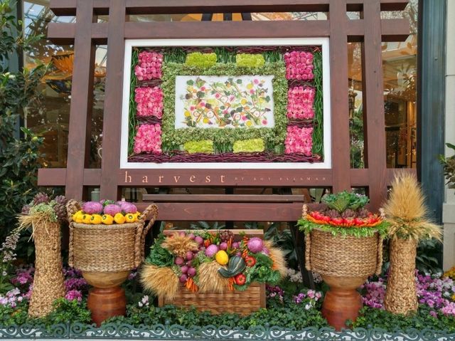 🌸 계절마다 테마가 바뀌는 실내 정원 – Bellagio Conservatory & Botanical Ga
