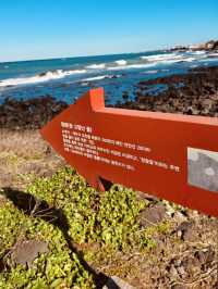 Accessible Coastal Beauty with Unique Geological Features