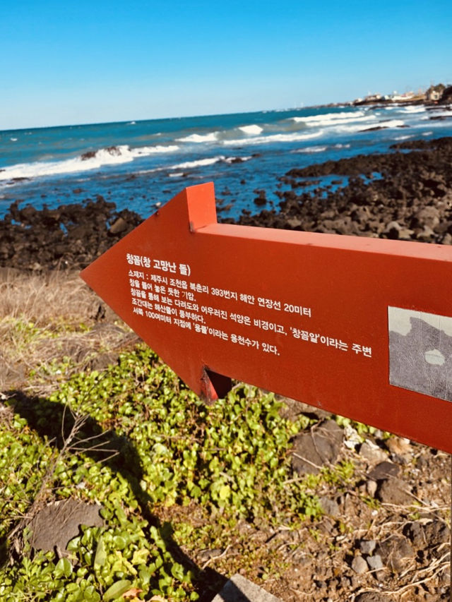 Accessible Coastal Beauty with Unique Geological Features